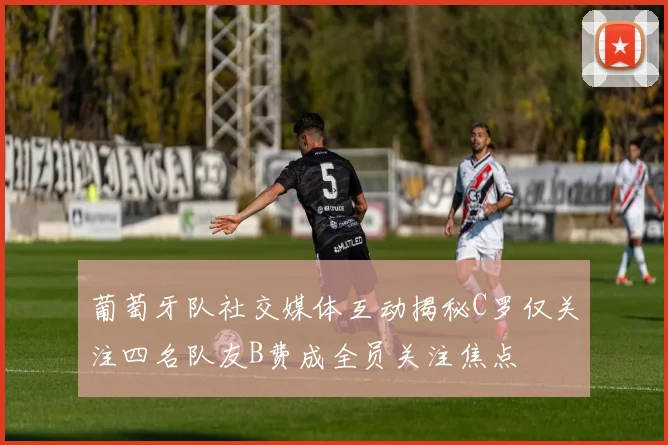葡萄牙队社交媒体互动揭秘C罗仅关注四名队友B费成全员关注焦点